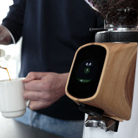 fiorenzato allground home grinder white with walnut