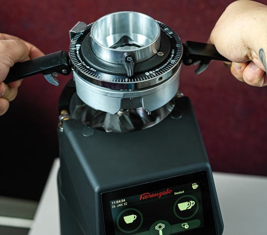 Fiorenzato F64 EVO XGI V110 Espresso Coffee Grinder